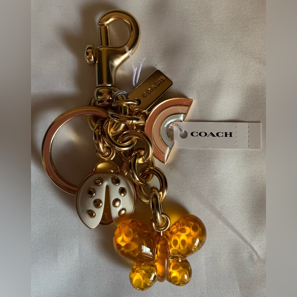 Coach Rainbow Clusters Butterfly Ladybug Charm.